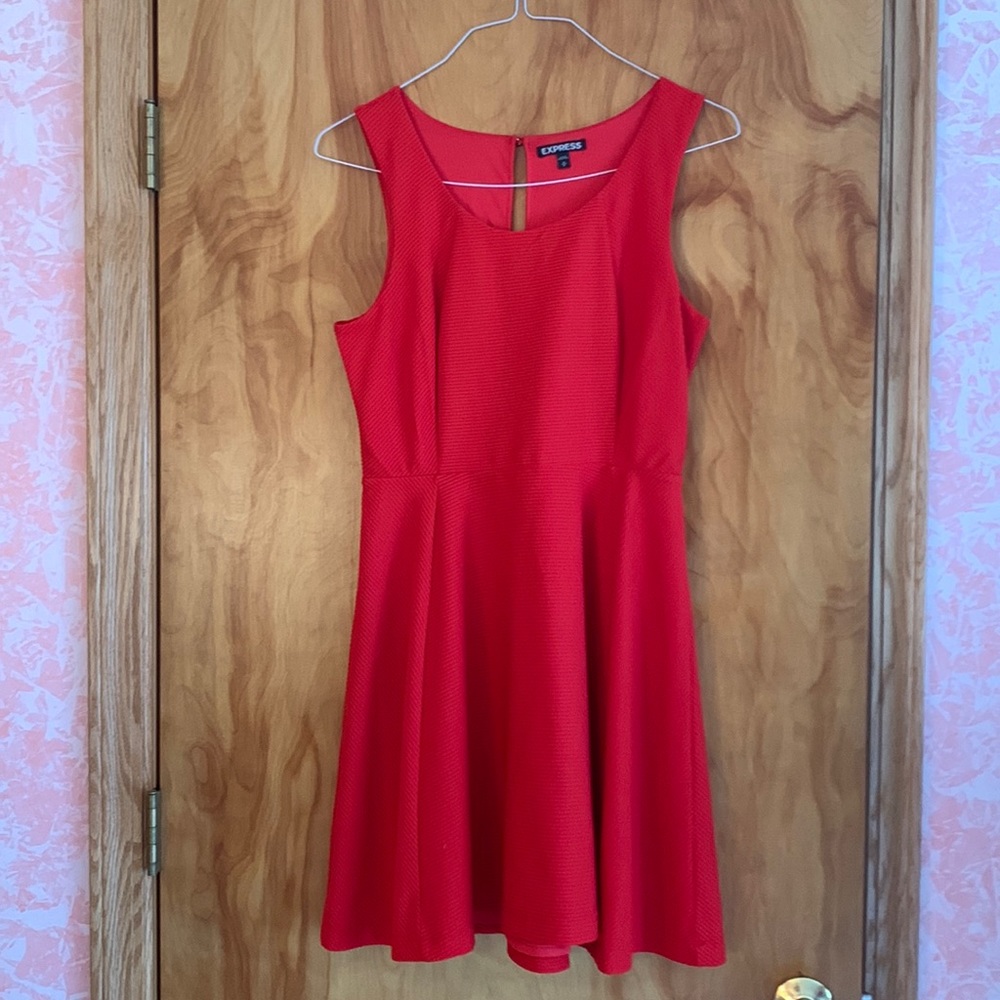Express fit and flare dress